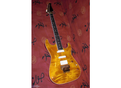 Xavier Petit pensa shur