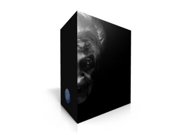 Wavesfactory Whispers