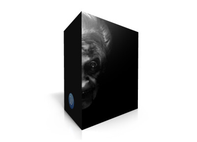 Wavesfactory Whispers