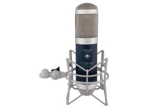 Ocean Way Audio Sterling ST6050