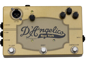 D'angelico Pedal 1