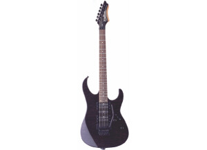 Washburn WG580