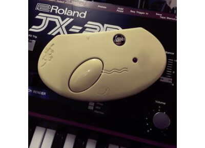 Waldorf Gekko Chorder