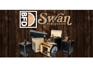 Fxpansion BFD Swan Percussion
