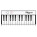 Voir la photo du IK Multimedia iRig Keys Mini IK Multimedia iRig Keys Mini