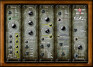 Sortie du synthé virtuel Noisebud Burt 2