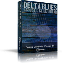 Indiginus Delta Blues Acoustic Slide Guitar