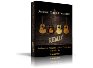 Indiginus Acoustic Guitar Collection Remix