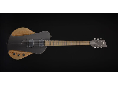 Sauvage Guitars One-Piece Master I