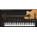 Voir la photo de la Ample Sound Ample Bass Acoustic II Ample Sound Ample Bass Acoustic II