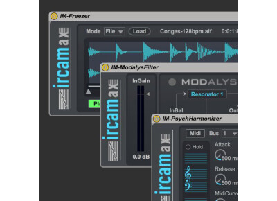 Ircam IrcaMax 2