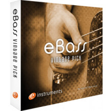e-instruments eBass - Vintage Pick