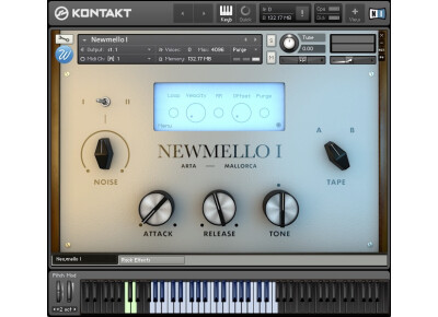 Wavesfactory Newmello I