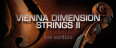 La Vienna Dimension Strings II au complet
