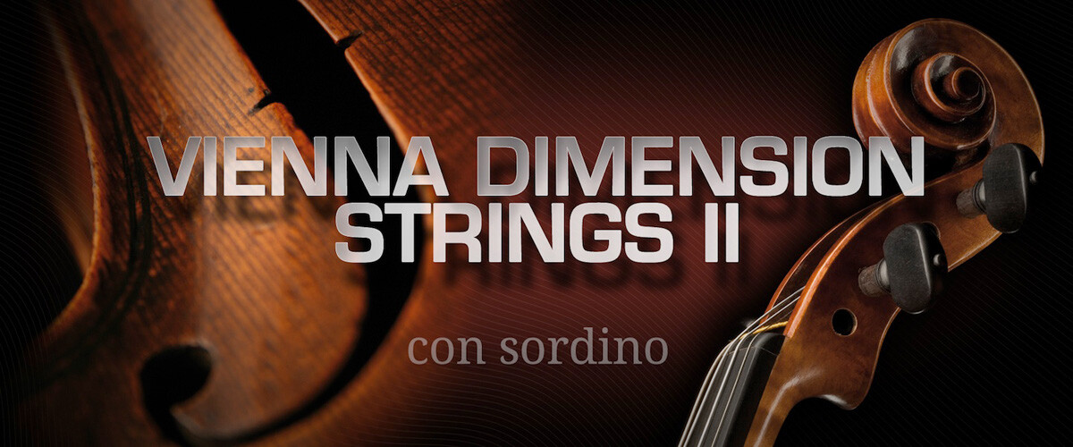 La Vienna Dimension Strings II con sordino