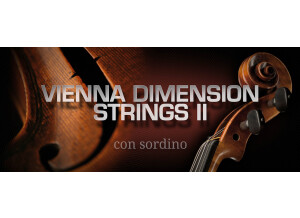 VSL (Vienna Symphonic Library) Vienna Dimension Strings II