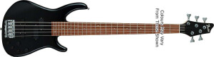 Fender Deluxe Dimension Bass V [2004-2006]