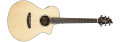 Breedlove propose une nouvelle électro-acoustique