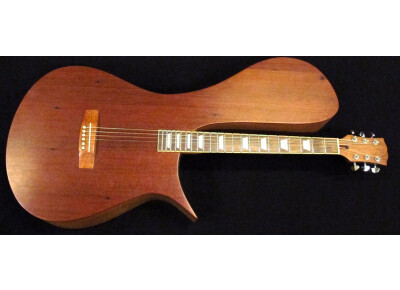 Kinny Stereo Acoustic Guitar