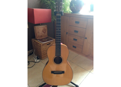 Martin & Co Custom Shop 00-21