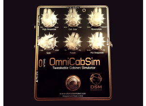 DSM Noisemaker OmniCabSim