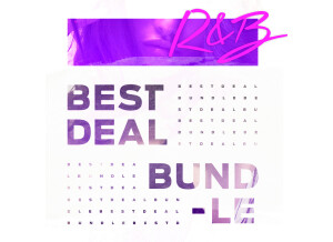 Diginoiz Best Deal Bundle - RnB