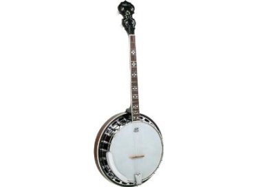 Ashbury Banjo AB45T