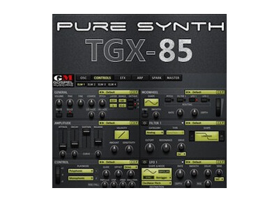 Gospel Musicians TGX-85