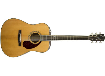 Fender PM-1 Standard Dreadnought