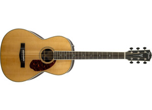 Fender PM-2 Deluxe Parlor
