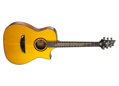 Cort Luxe Frank Gambale