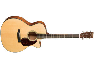 Martin & Co Standard GPC-18E (2016-2019)