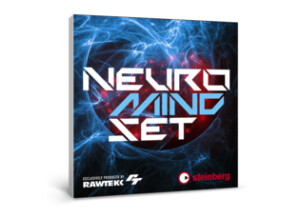 Steinberg Neuro Mindset