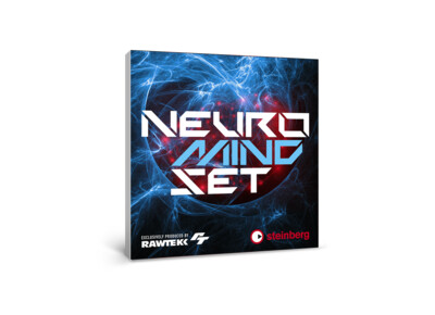 Steinberg Neuro Mindset