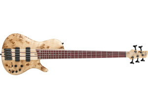 Ibanez SRSC805