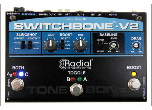 Radial Engineering Switchbone V2