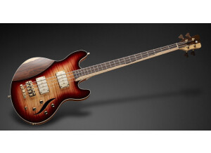 Warwick Lee Sklar Signature