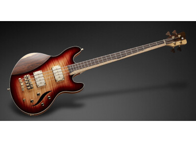 Warwick Lee Sklar Signature