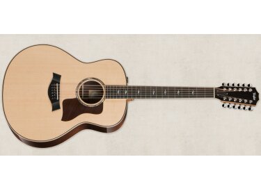 Taylor 858e