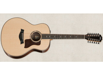 Taylor 858e