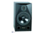 ADAM Audio P-22A