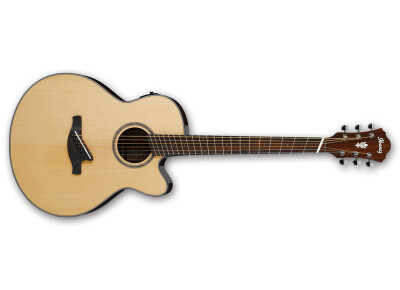 Ibanez AELFF10