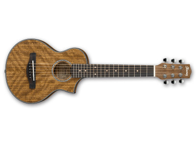 Ibanez EWP14OPN