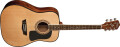 Des acoustiques pour débutants chez Washburn