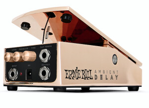 Ernie Ball Ambient Delay