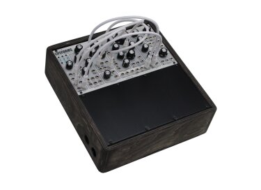 Pittsburgh Modular Lifeforms System 101