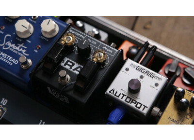 TheGigRig Autopot