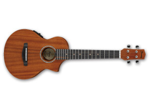Ibanez UEWT5E
