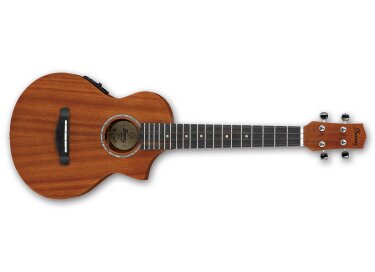 Ibanez UEWT5E