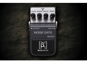 Beta Aivin NG-100 Noise Gate